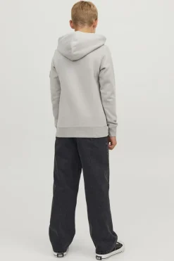 Jack & Jones Jeans Alex