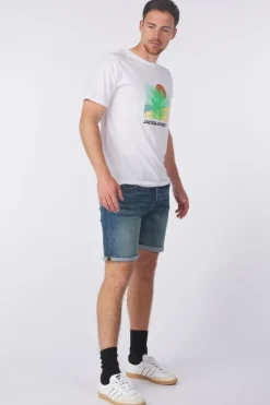 Jack & Jones Short Irick Fox Cb 310