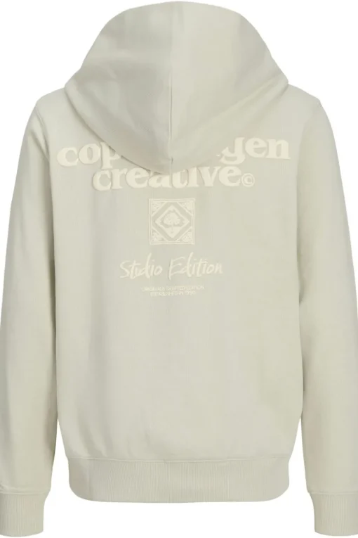 Jack & Jones Trui Paros Type Sweat Back