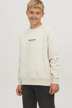 Jack & Jones Trui Vesterbro