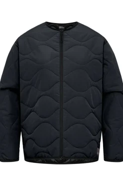 Jack Wolfskin Jas Wandersome Ins Jkt W