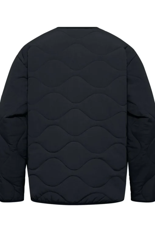 Jack Wolfskin Jas Wandersome Ins Jkt W
