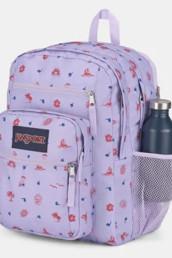 JanSport Tourpack Big Student 34 L
