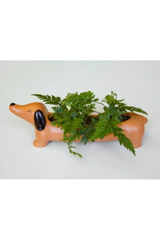 Kikkerland Tuinaccessoire Daisy The Dachshund Planter