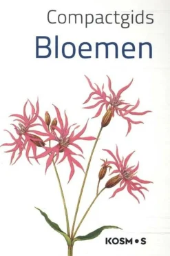 Kosmos Bloemen compact gids kosmos