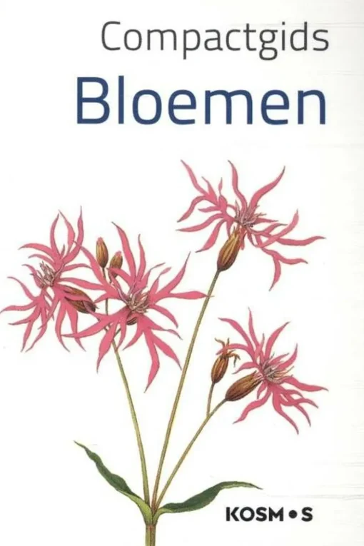 Kosmos Bloemen compact gids kosmos