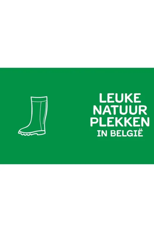 Lannoo Boek Buiten Spelen! 100 Leuke Activiteiten In De Natuur Voor Kinderen