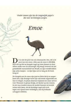 Lannoo Boek Het Dikke Boek Van Alle Bijzondere Vogels