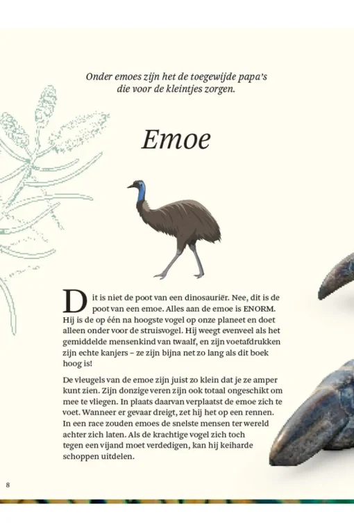 Lannoo Boek Het Dikke Boek Van Alle Bijzondere Vogels