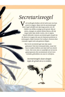 Lannoo Boek Het Dikke Boek Van Alle Bijzondere Vogels