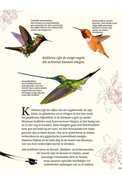 Lannoo Boek Het Dikke Boek Van Alle Bijzondere Vogels