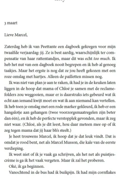 Lannoo Boek Onder De Sterren - Roadtrip Roman