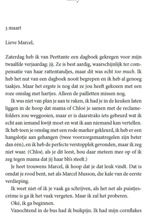 Lannoo Boek Onder De Sterren - Roadtrip Roman