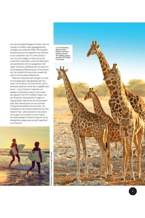 Lannoo Boek Ultieme Reisplanner Family