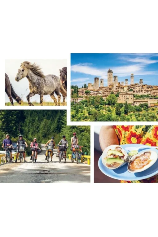 Lannoo Gids voor de bikepacker Lonely Planet 75 fietstochten