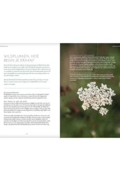 Lannoo Het wildplukboek