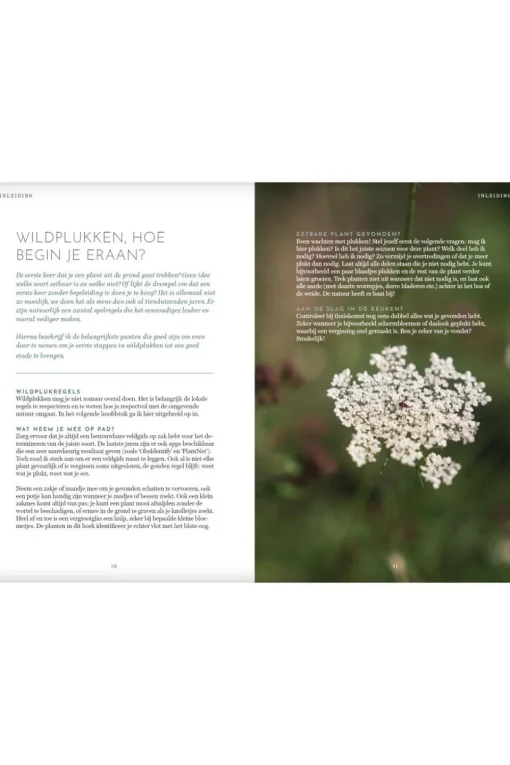 Lannoo Het wildplukboek