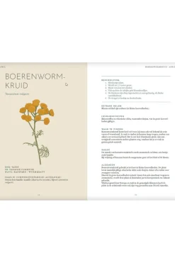 Lannoo Het wildplukboek