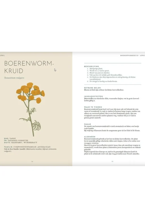 Lannoo Het wildplukboek