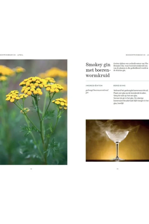 Lannoo Het wildplukboek