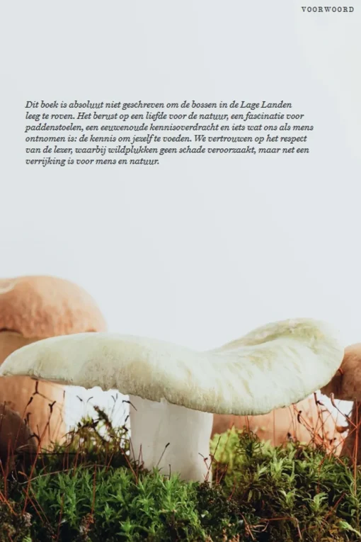 Lannoo Het wildplukboek voor paddenstoelen