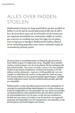 Lannoo Het wildplukboek voor paddenstoelen