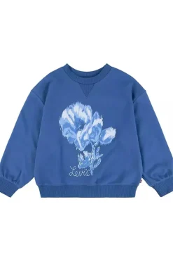 Levi's Kids Trui Lvg Coastal Collegiate Crew