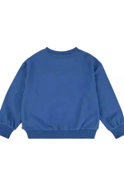 Levi's Kids Trui Lvg Coastal Collegiate Crew