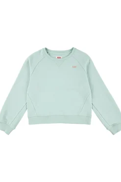 Levi's Kids Trui Lvg Levis Hd Silicone Batwing
