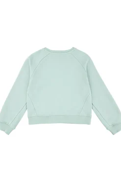 Levi's Kids Trui Lvg Levis Hd Silicone Batwing