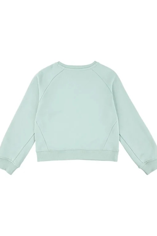 Levi's Kids Trui Lvg Levis Hd Silicone Batwing