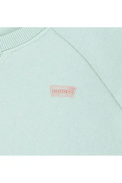 Levi's Kids Trui Lvg Levis Hd Silicone Batwing