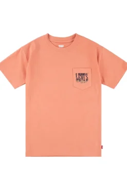 Levi's Kids T-Shirt Canyon Landscape