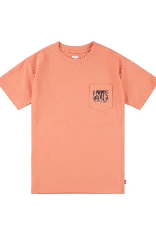 Levi's Kids T-Shirt Canyon Landscape