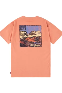 Levi's Kids T-Shirt Canyon Landscape