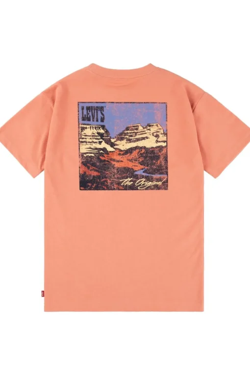 Levi's Kids T-Shirt Canyon Landscape