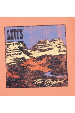 Levi's Kids T-Shirt Canyon Landscape