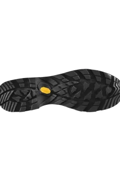 LOWA Wandelschoenen Camino Evo Gore-Tex