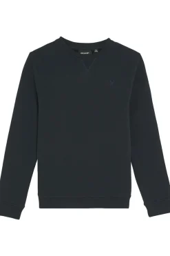 Lyle & Scott Trui Tonal Crew Neck
