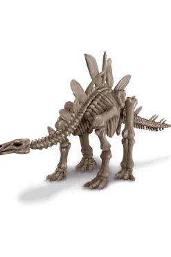 4M Speelgoed Graaf Je Dinosaurus Op - Stegosaurus