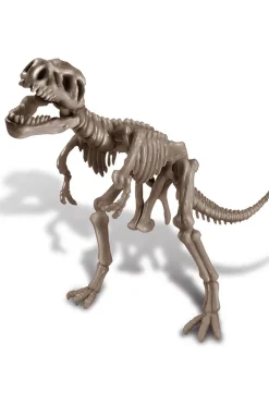 4M Speelgoed Graaf Je Dinosaurus Op - Tyrannosaurus Rex