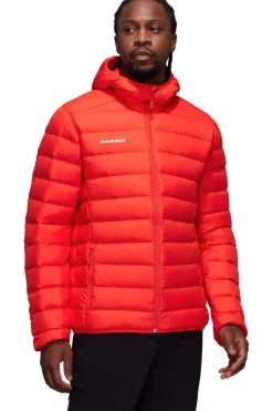 Mammut Donsjas Waymarker In Hooded Jacket Men