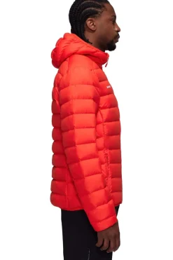 Mammut Donsjas Waymarker In Hooded Jacket Men