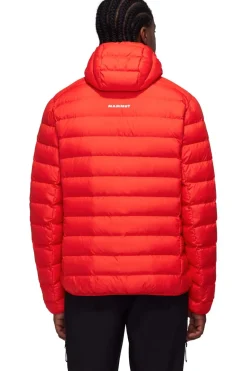 Mammut Donsjas Waymarker In Hooded Jacket Men