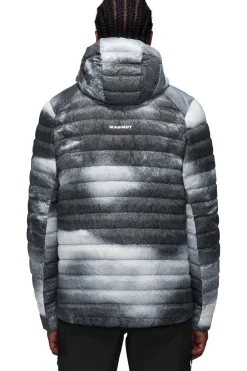 Mammut Jas Albula In Hooded Jacket Men Grain