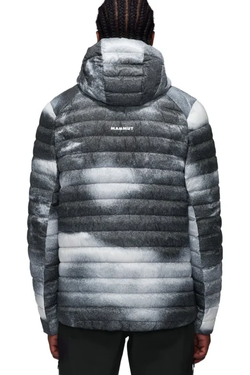 Mammut Jas Albula In Hooded Jacket Men Grain