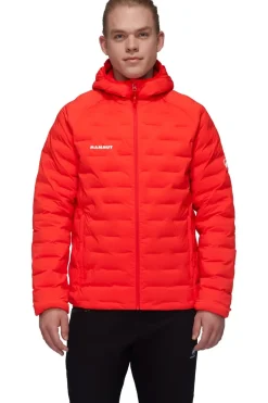 Mammut Jas Sender Ins Hooded