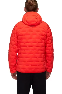 Mammut Jas Sender Ins Hooded