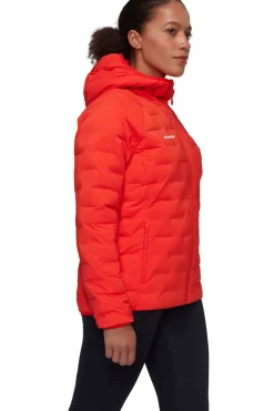 Mammut Jas Sender Ins Hooded