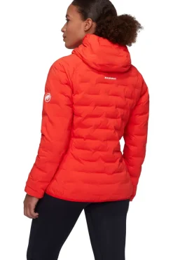Mammut Jas Sender Ins Hooded